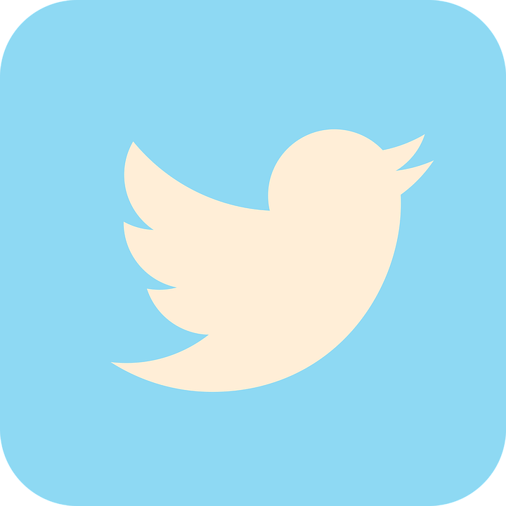 twitter_icono